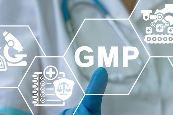 gmp